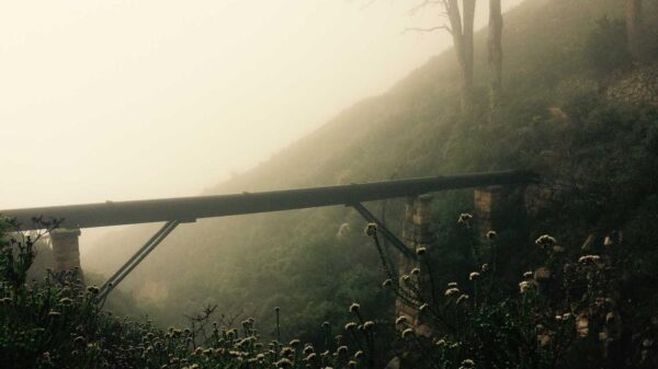 Immagine in primo piano del post: Lorem Ipsum Editor