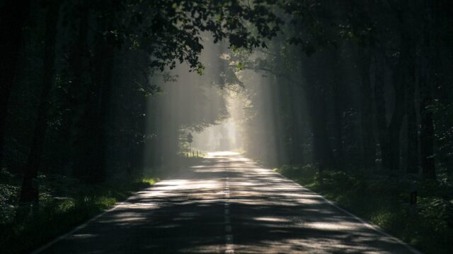 Acquisti e Procurement